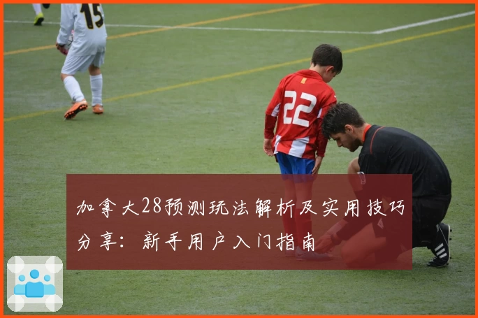 加拿大28预测玩法解析及实用技巧分享:新手用户入门指南