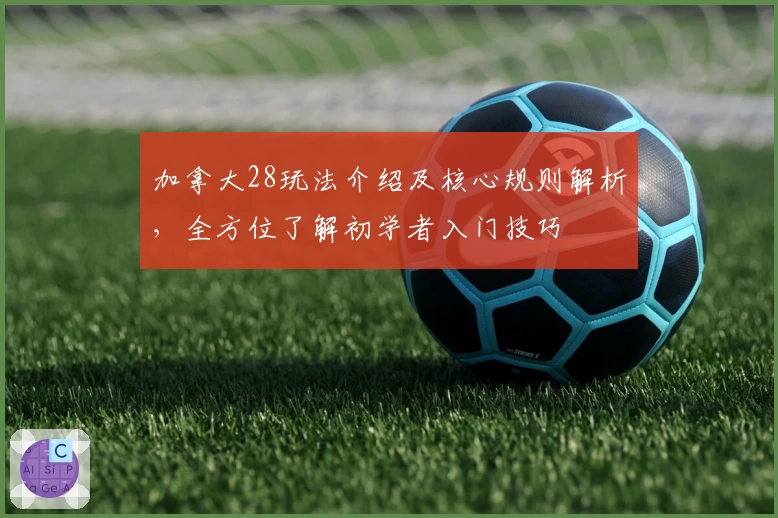 加拿大28玩法介绍及核心规则解析，全方位了解初学者入门技巧