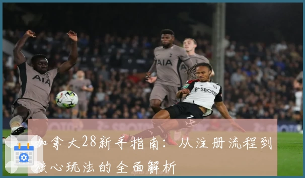 加拿大28新手指南：从注册流程到核心玩法的全面解析