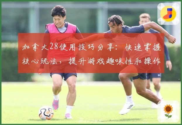 加拿大28使用技巧分享：快速掌握核心玩法，提升游戏趣味性和操作效率