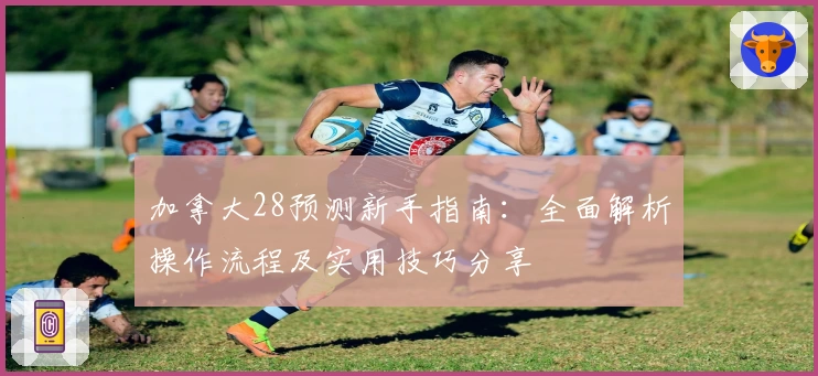 加拿大28预测新手指南：全面解析操作流程及实用技巧分享