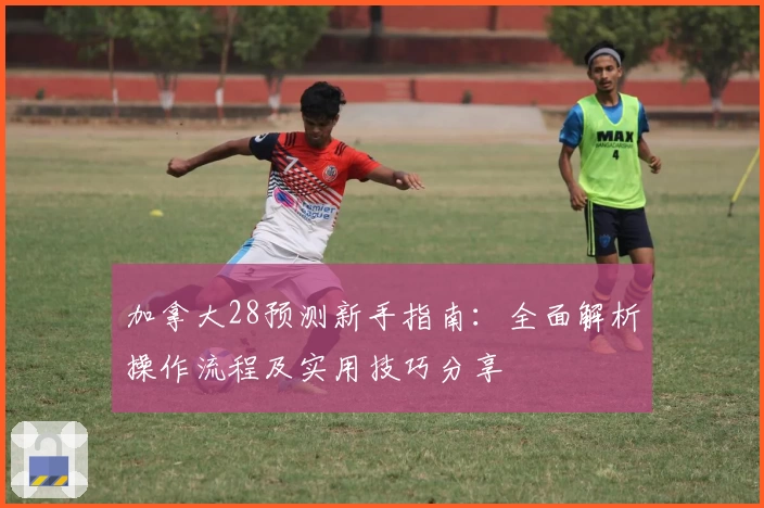 加拿大28预测新手指南：全面解析操作流程及实用技巧分享