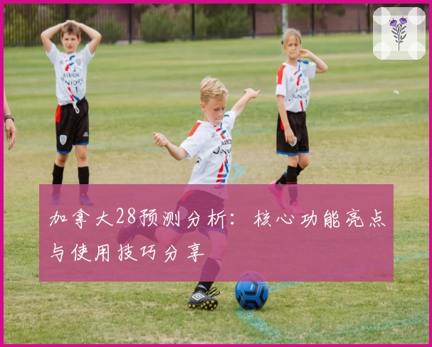 加拿大28预测分析:核心功能亮点与使用技巧分享